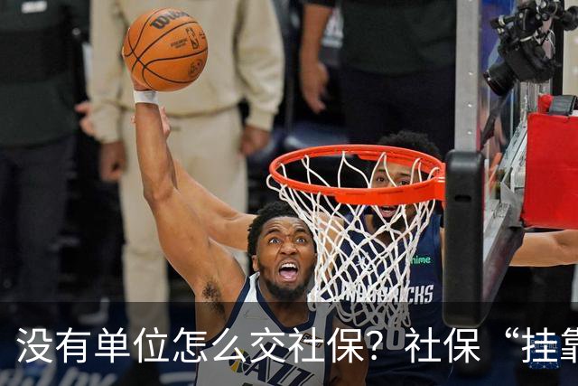 没有单位怎么交社保？社保“挂靠代缴”被查！人事代理、挂靠代缴、灵活就业参保有什么区别？